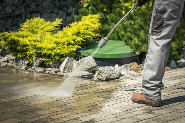 Best Soft Washing  in Colonial Heights, TN