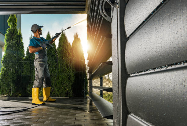 Best Graffiti Removal  in Colonial Heights, TN